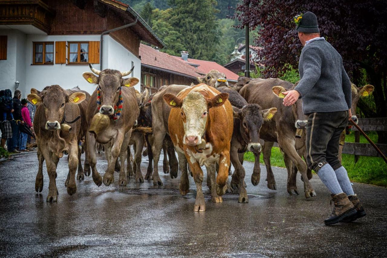 Ferienwohnung Zobl Füssen Esterno foto